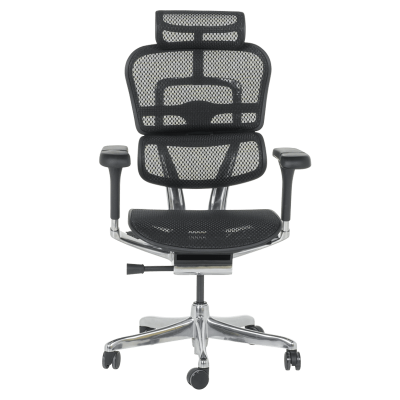 Ергономичен стол ERGOHUMAN ELITE 2 - черна рамка - черен