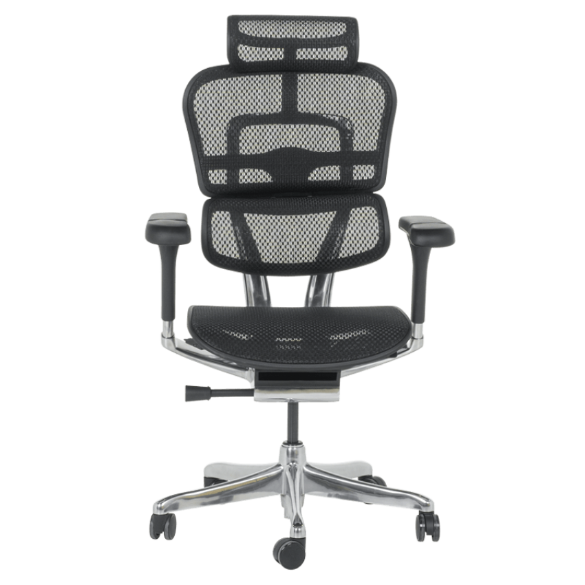 Ергономичен стол ERGOHUMAN ELITE 2 - черна рамка - черен