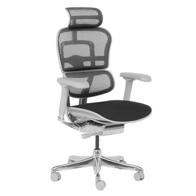 Ергономичен стол ERGOHUMAN ELITE 2 - сива рамка - черен