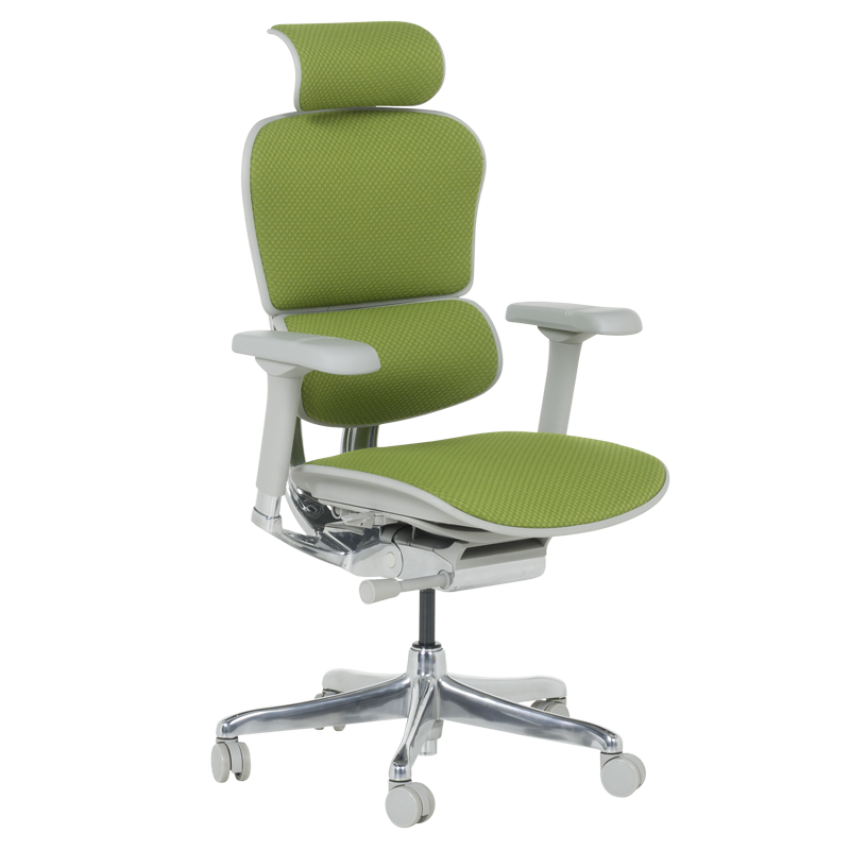 Ергономичен стол ERGOHUMAN ELITE 2 - сива рамка - зелен