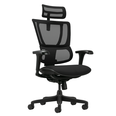 Ергономичен стол ERGOHUMAN IOO BUDGET 2 - черна рамка - черен