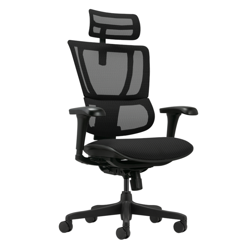 Ергономичен стол ERGOHUMAN IOO BUDGET 2 - черна рамка - черен