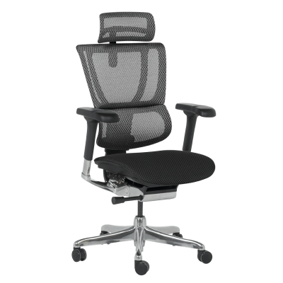 Ергономичен стол ERGOHUMAN IOO ELITE 2 - черна рамка - черен