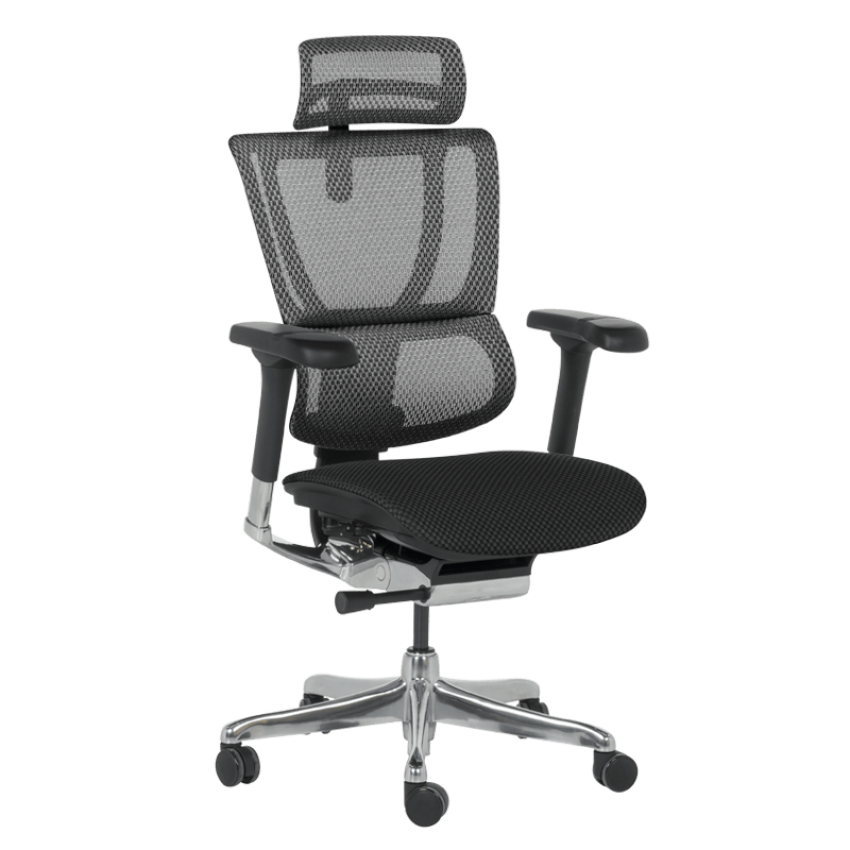 Ергономичен стол ERGOHUMAN IOO ELITE 2 - черна рамка - черен