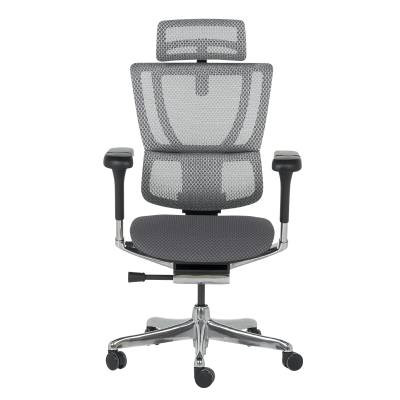 Ергономичен стол ERGOHUMAN IOO ELITE 2 - черна рамка - сив