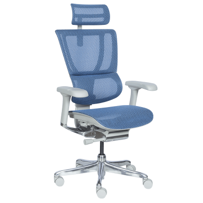 Ергономичен стол ERGOHUMAN IOO ELITE 2 - сива рамка - син