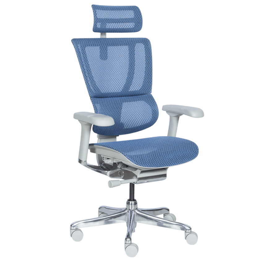 Ергономичен стол ERGOHUMAN IOO ELITE 2 - сива рамка - син