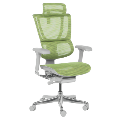 Ергономичен стол ERGOHUMAN IOO ELITE 2 - сива рамка - зелен