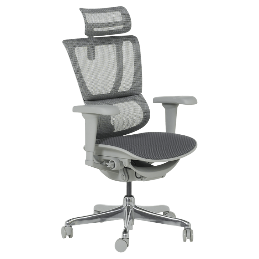 Ергономичен стол ERGOHUMAN IOO ULTRA - сива рамка - сив