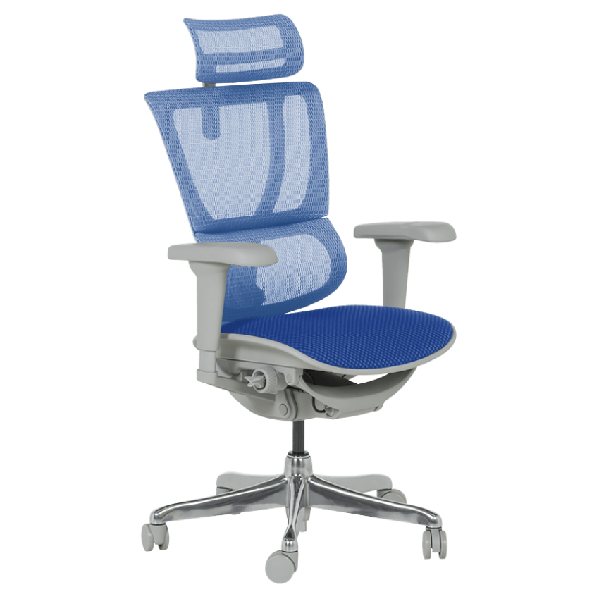 Ергономичен стол ERGOHUMAN IOO ULTRA - сива рамка - син